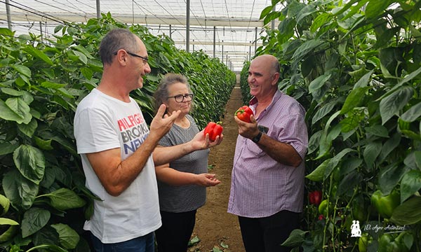 Sur Seeds se adelanta a un futuro de aguas malas y más calor