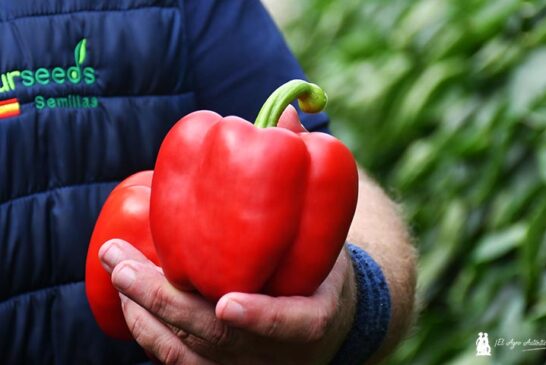 Sur Seeds se adelanta a un futuro de aguas malas y más calor