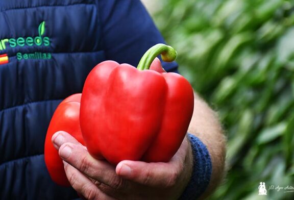 Sur Seeds se adelanta a un futuro de aguas malas y más calor