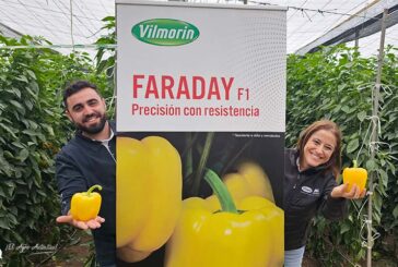 Faraday resistente a oídio refuerza a Vilmorin en el amarillo