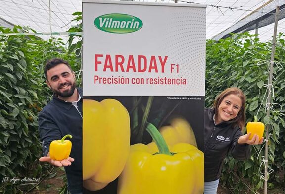 Faraday resistente a oído refuerza a Vilmorin en el amarillo