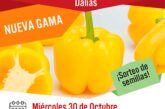 Día 30 de octubre. Jornada de pimiento amarillo de Vilmorin-Mikado