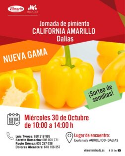 Nueva gama de pimientos de Vilmorin
