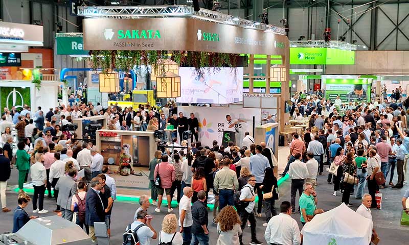 Sakata aterriza en Fruit Attraction 2024 con variedades dirigidas a los supermercados