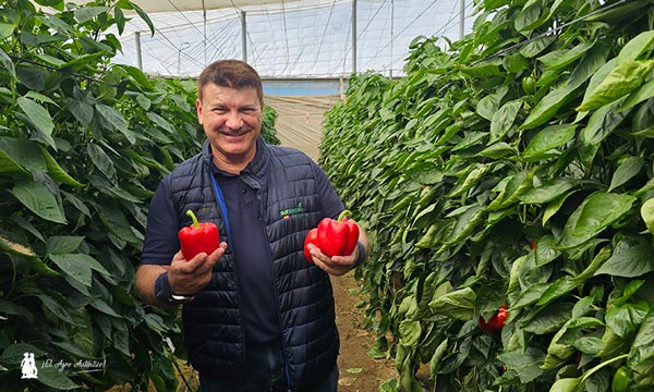 Sur Seeds se adelanta a un futuro de aguas malas y más calor