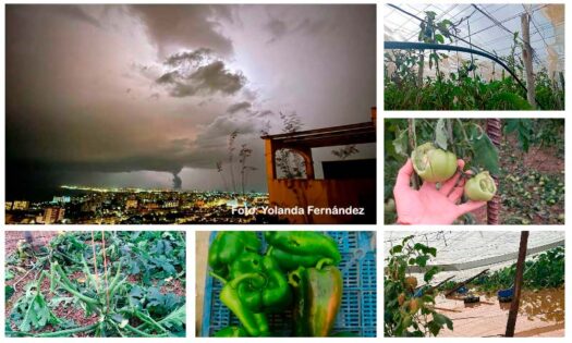 DANA y granizo en El Ejido. Tormenta supercélula / agroautentico.com