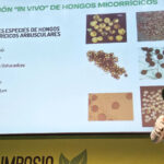 Elías Martínez, técnico de producto de Bioera. Micorrizas in vivo / agroautentico.com