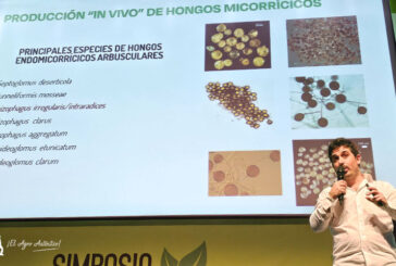 Bioera y su producción de micorrizas 'in vivo'