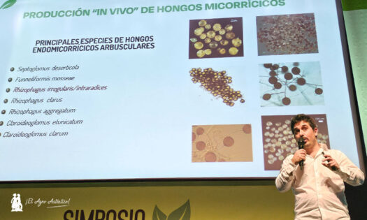 Elías Martínez, técnico de producto de Bioera. Micorrizas in vivo / agroautentico.com