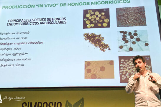 Bioera y su producción de micorrizas 'in vivo'