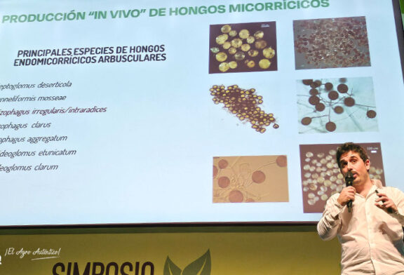 Bioera y su producción de micorrizas 'in vivo'