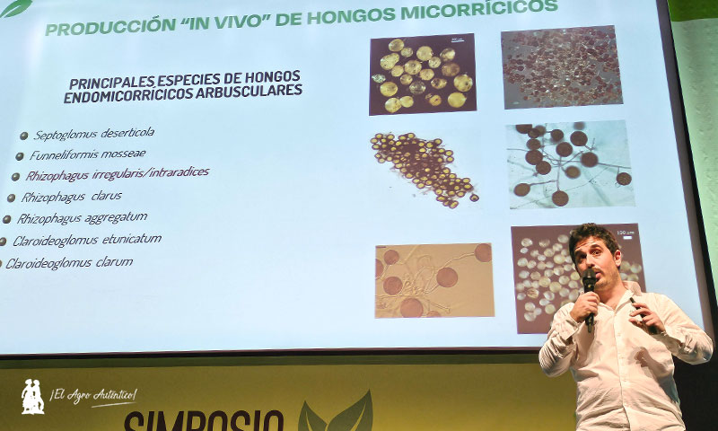 Bioera y su producción de micorrizas ‘in vivo’