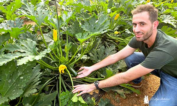 David Madiot con el calabacín Delhirium de Gautier / agroautentico.com