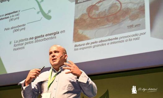 Francisco Pagan, Commercial Agronomy Corteva Biologicals Iberia / agroautentico.com