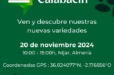 Día 20 de noviembre. Jornada de calabacín de Gautier