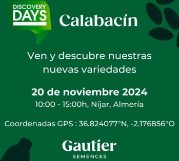 calabacín de Gautier