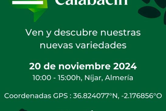 Día 20 de noviembre. Jornada de calabacín de Gautier