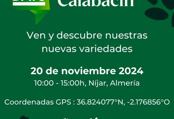 Día 20 de noviembre. Jornada de calabacín de Gautier