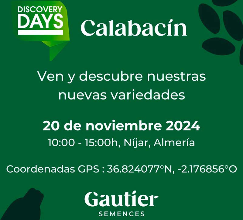 Día 20 de noviembre. Jornada de calabacín de Gautier