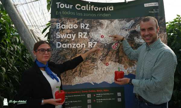 El Tour California de Rijk Zwaan en Berja / agroautentico.com