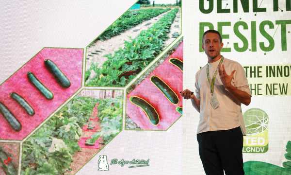 Guillaume Menet, breeder de calabacín de Syngenta / agroautentico.com