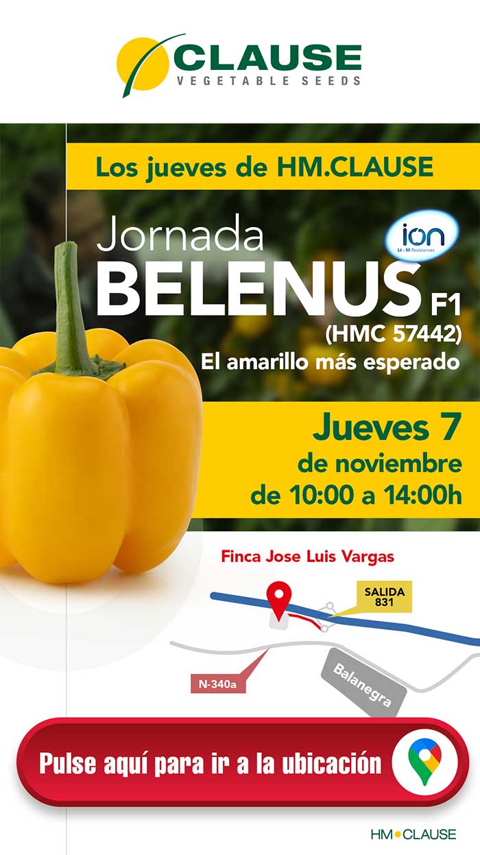 Jornada de pimiento Belenus de HM Clause