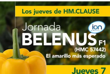 Día 7 de noviembre. Jornada de pimiento de HM.Clause