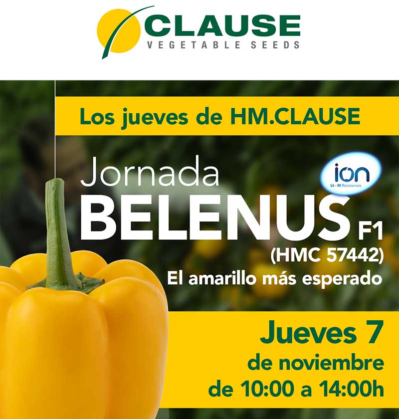 Día 7 de noviembre. Jornada de pimiento de HM.Clause