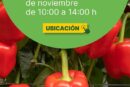 Días 20, 21 y 22 de noviembre. Tradicionales 'Jornadas de pimiento' de HM.Clause