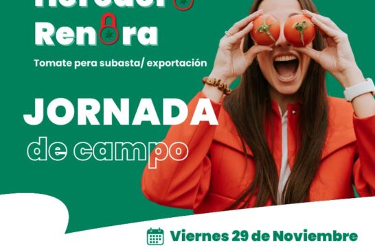 Día 29 de noviembre. Jornada de tomate de Hazera