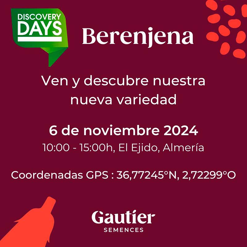 Día 6 de noviembre. Jornada de berenjena de Gautier