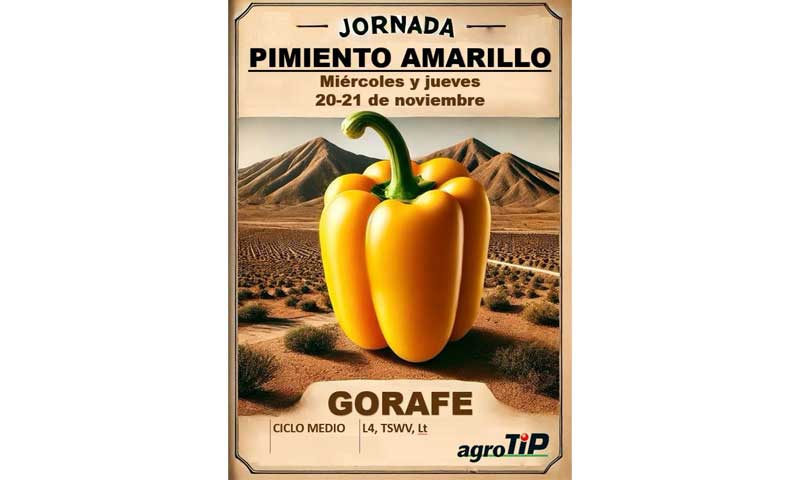 Días 20 y 21 de noviembre. Jornadas de pimiento de AgroTIP