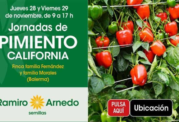 Días 28 y 29 de noviembre. Jornadas de pimiento california de Ramiro Arnedo