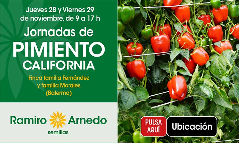 Días 28 y 29 de noviembre. Jornadas de pimiento california de Ramiro Arnedo