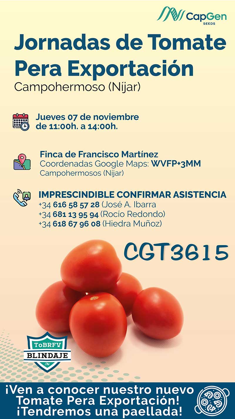 Día 7 de noviembre. Jornada de tomate de CapGen Seeds