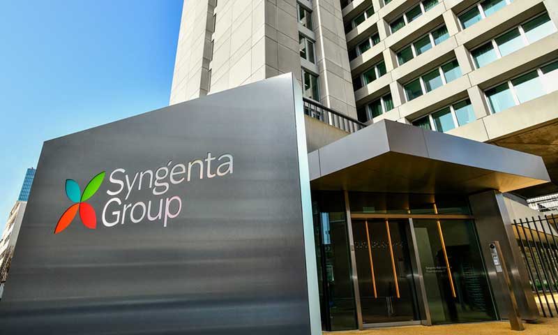 Syngenta incorpora a Koipesol Semillas a su portfolio