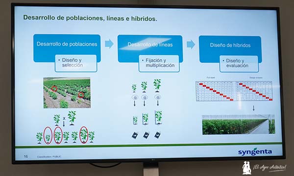 Inglés y nuevas tecnologías marcan el camino laboral de las empresas agrícolas 4