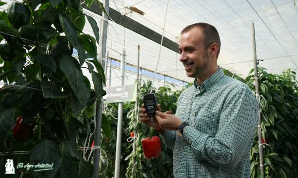 Manuel Pozo Pinedad en el Tour California de Rijk Zwaan / agroautentico.com