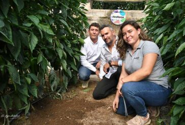 Neoforce Soil activa defensas, raíces y microbioma de suelo