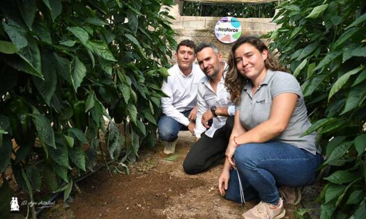 Neoforce Soil activa defensas, raíces y microbioma de suelo-noticias-agroautentico.com
