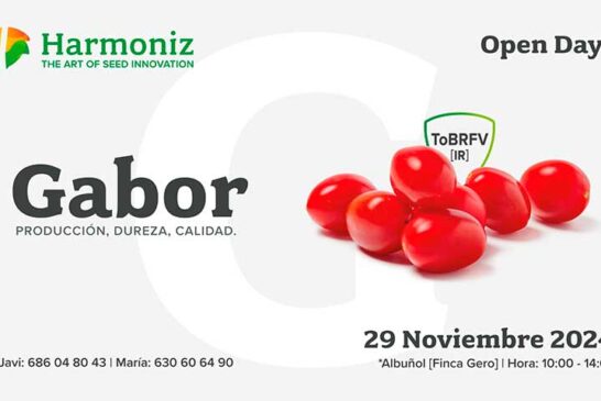 Día 29 de noviembre. Jornada de tomate cherry de Harmoniz