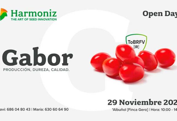 Día 29 de noviembre. Jornada de tomate cherry de Harmoniz