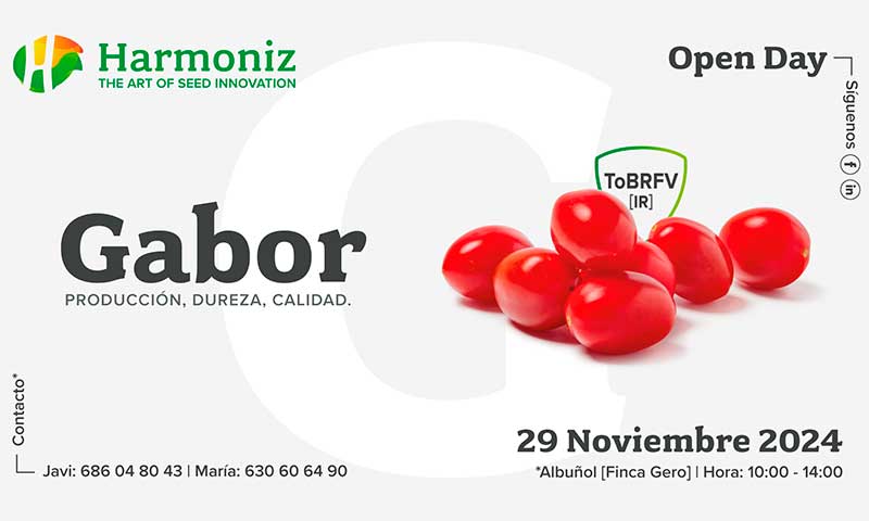 Día 29 de noviembre. Jornada de tomate cherry de Harmoniz