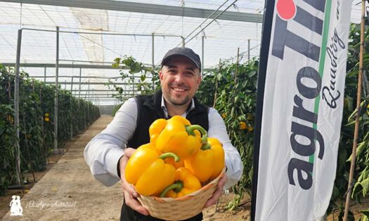 Víctor Jiménez Vega, responsable de agroTIP en España con Gorafe pimiento / agroautentico.com