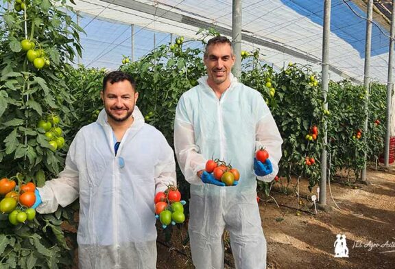 Caniles se hace grande con tomate Legislador. Más calibre con resistencia a rugoso