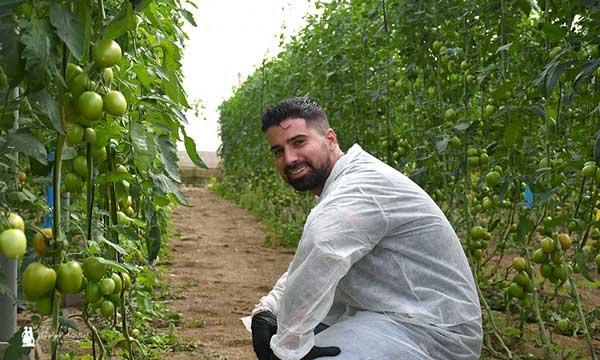 Jornadas de campo en Níjar con variedades de tomate turco resistente al rugoso / agroautentico.com