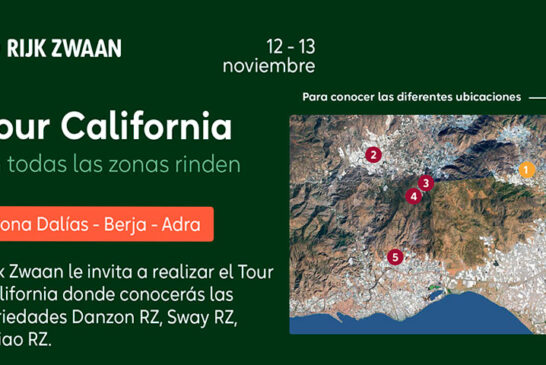 Días 12 y 13 de noviembre. Tour California de Rijk Zwaan