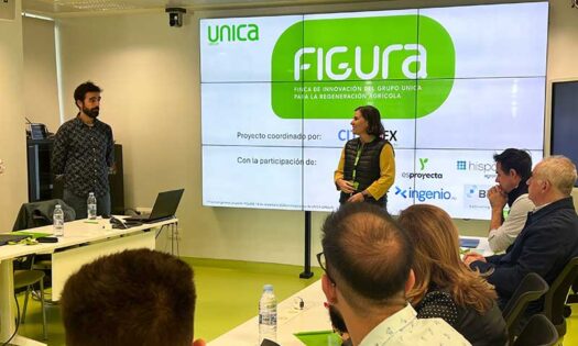 UNICA acoge la reunión anual del proyecto FIGURA para impulsar la sostenibilidad en invernaderos