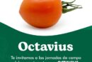 Días 20 y 21 de noviembre. Jornadas de tomate de Yuksel Seeds