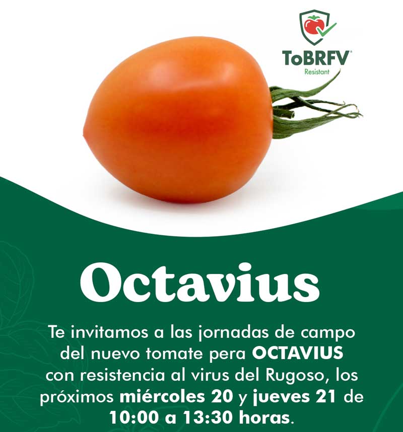 Días 20 y 21 de noviembre. Jornadas de tomate de Yuksel Seeds